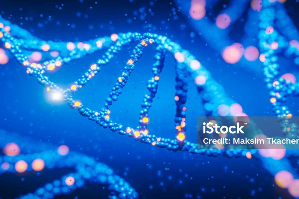 Hurra! Wir leben noch!