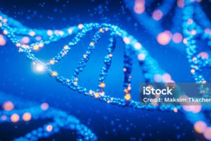 Hurra! Wir leben noch!