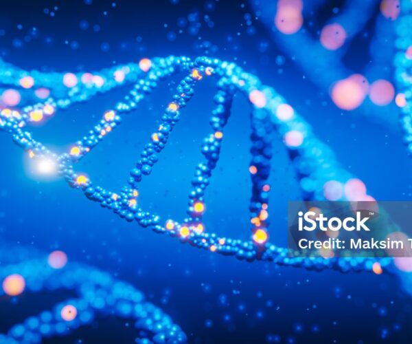 Hurra! Wir leben noch!