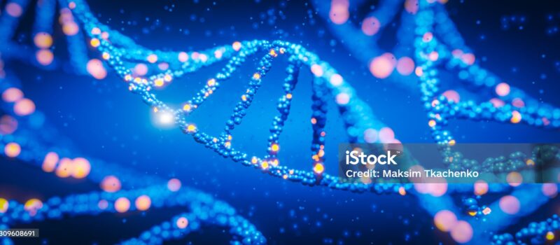 Hurra! Wir leben noch!