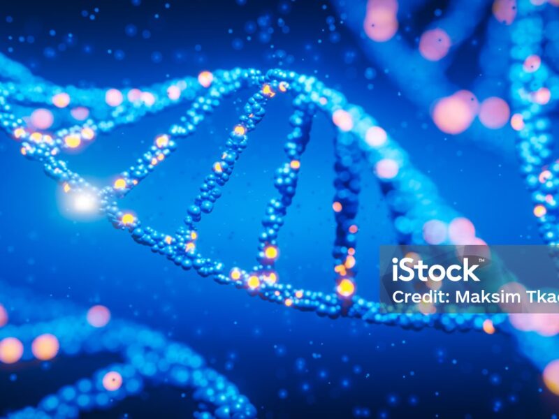 Hurra! Wir leben noch!