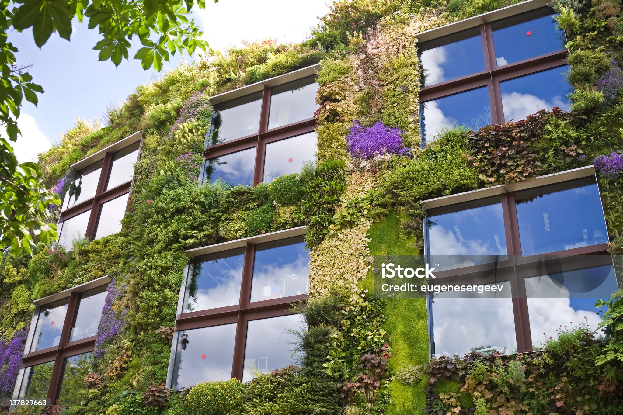 Ecological buildings facade with plans and flower on it