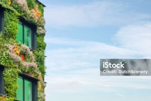 Energie à la carte – Ihr persönlicher Nachhaltigkeitstarif