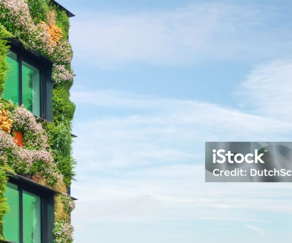 Energie à la carte – Ihr persönlicher Nachhaltigkeitstarif