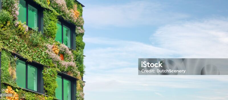 Energie à la carte – Ihr persönlicher Nachhaltigkeitstarif