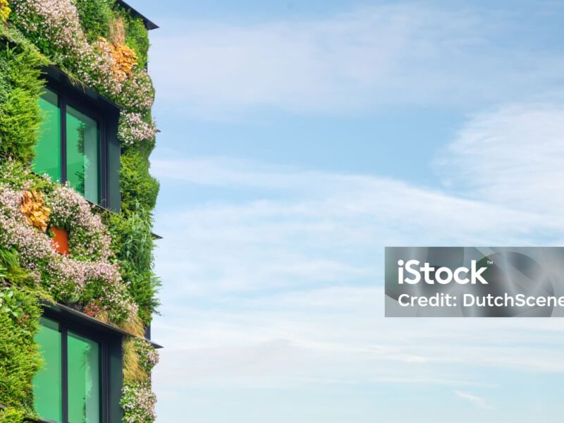 Energie à la carte – Ihr persönlicher Nachhaltigkeitstarif